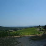 la strada per Brolio da Siena