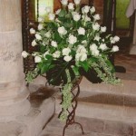 trionfo di rose