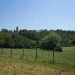 centro estivo per bambini