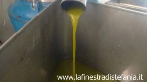The Best Olive Oil in Tuscany, Dievole