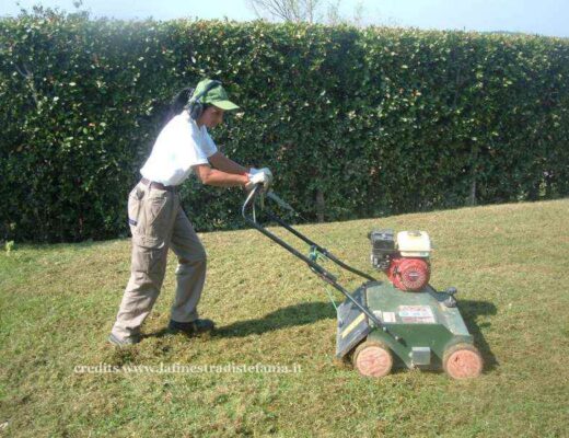 Arieggiatura del prato con arieggiatore per eliminare muschio ed erbacce