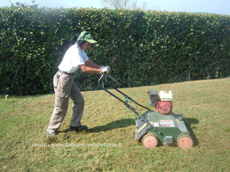 Arieggiatura del prato con arieggiatore per eliminare muschio ed erbacce