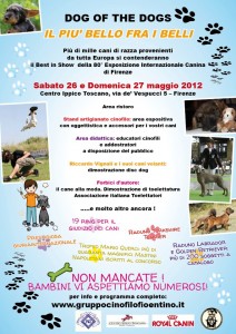 esposizione del cane più bello