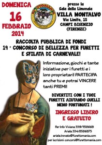 furetti belli