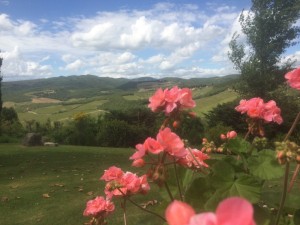 rose che stanno bene in Toscana