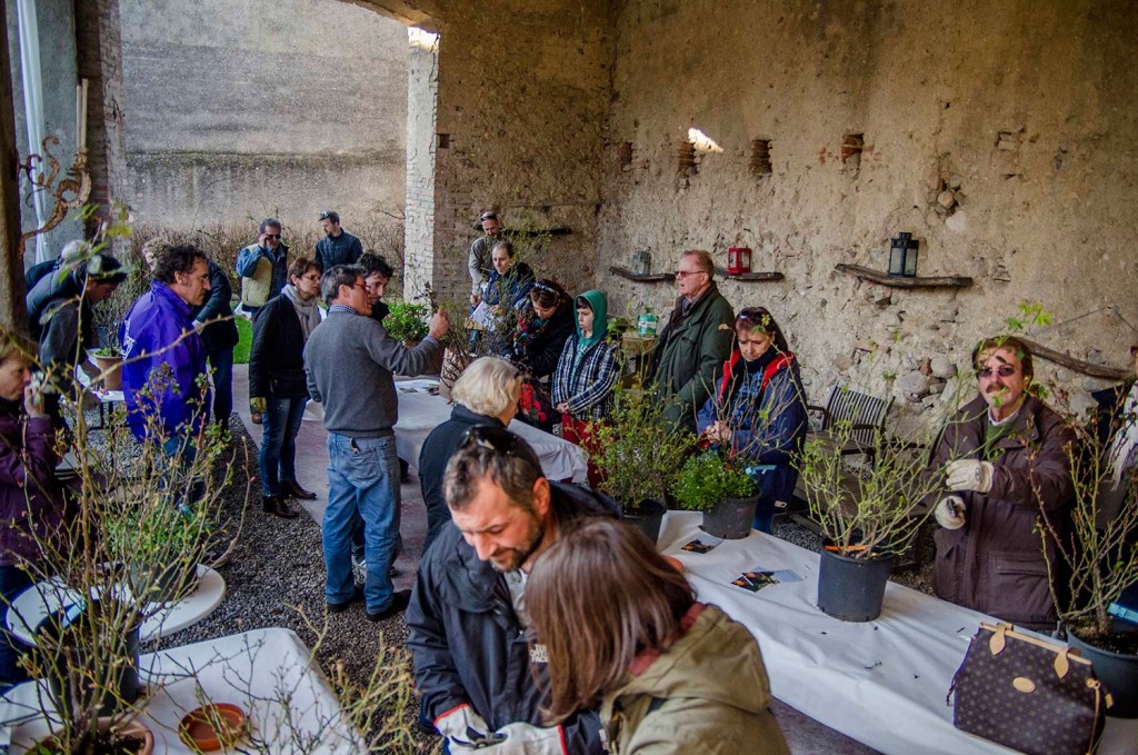 Potatura delle rose nei giardini del Castello Quistini