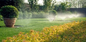 come fare un impianto d'irrigazione da soli