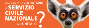 serve fare il servizio civile
