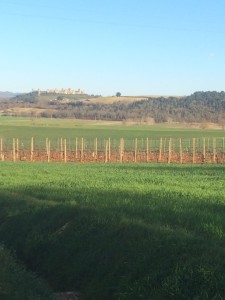 percorsi trekking in toscana e sulla Via Francigena