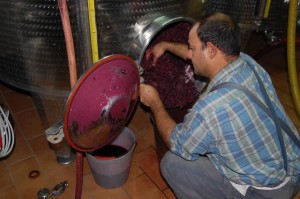 vignaiolo fivi chianti classico