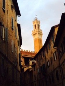 la torre di piazza del campo vista da via Duprè