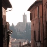 basilica dei servi a Siena