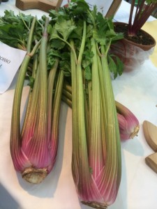 il sedano rosso slow food