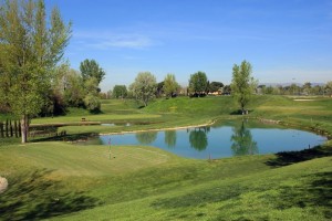 come fare un campo da golf da zero