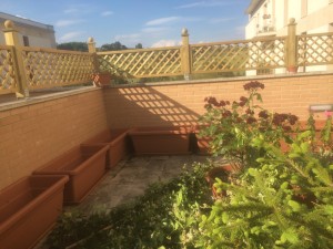 mettere i vasi e i sottovasi lungo il perimetro del terrazzo