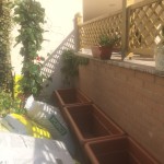 posizionare i vasi vuoti lungo il muro