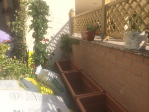 posizionare i vasi vuoti lungo il muro