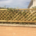 idee grigliati per rampicanti