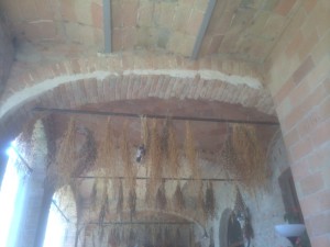 come essiccare le erbe all'aria aperta