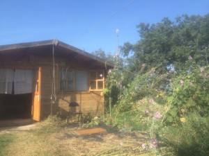 crafthouse in legno per giardino