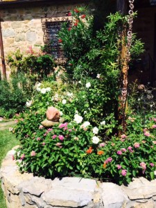 idee per una bordura fiorita