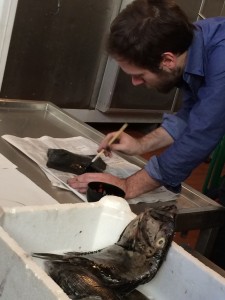 colorare con il nero di seppia