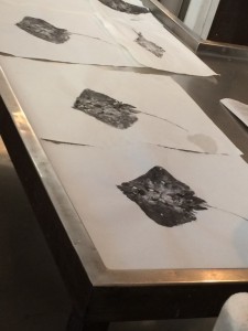 Eduard Pages e Victoria Rabal Gyotaku