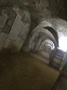 siena cimitero misericordia