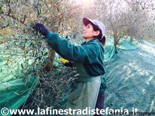 comunicare l'olio fa bene