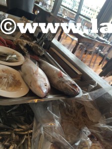 pesce fresco