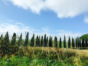 percorso della via Francigena toscana