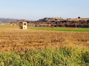 sentieri toscani da fare a piedi