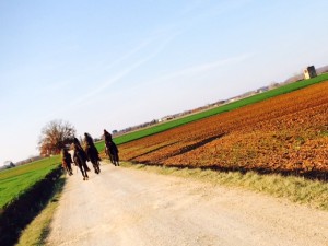 Dove andare a cavallo in Toscana