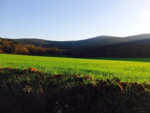 tappa 1 Abbadia Isola Monteriggioni