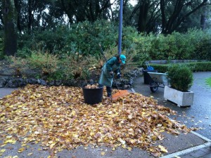 esercizi di ginnastica in giardino