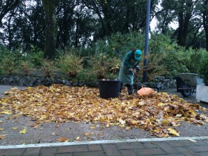 giardinaggio e ginnastica si può fare