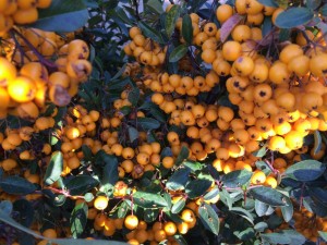 idee per addobbi colorati