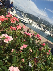i fiori di yacht e garden a Genova