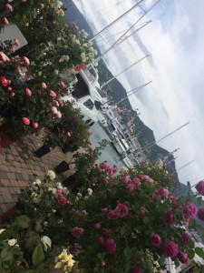 quale stazione è più vicina alla Marina di Genova
