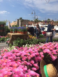 che fiori mettere in barca