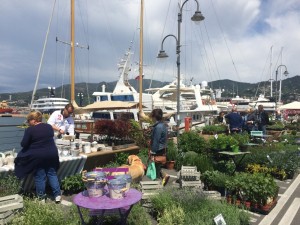 le più belle barche del mondo