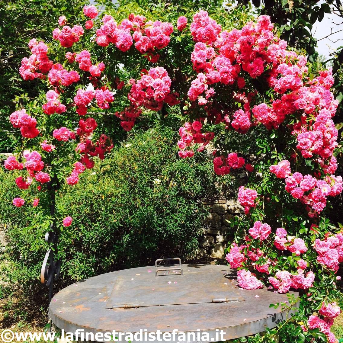 come rivestire un pozzo con i fiori