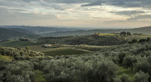 Dove mangiare bene a Pratp