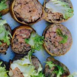 ricetta toscana del collo di nana ripieno