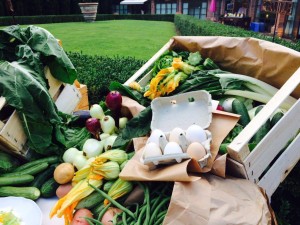 come allestire un banco di verdura