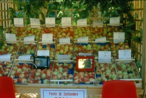 food contest per blogger e ricette con le pesche