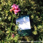 chiudi-gli-occhi-di-Simona-Fruzzetti