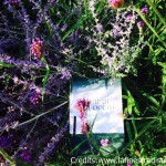 libri che parlano d'Irlanda