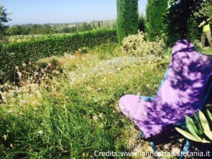 il luogo ideale dove scrivere un libro