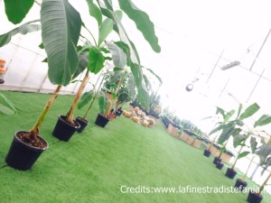 dove portare i bambini a giocare nel verde